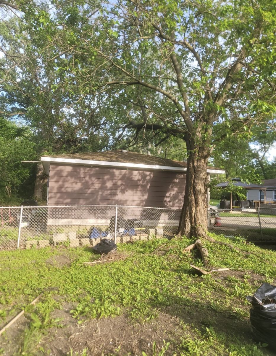 Mature Tree Care
