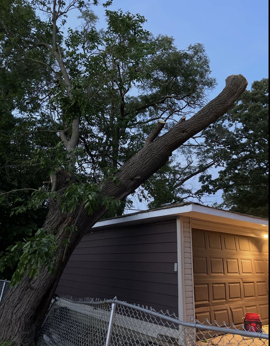 Large Limb Take-Down
