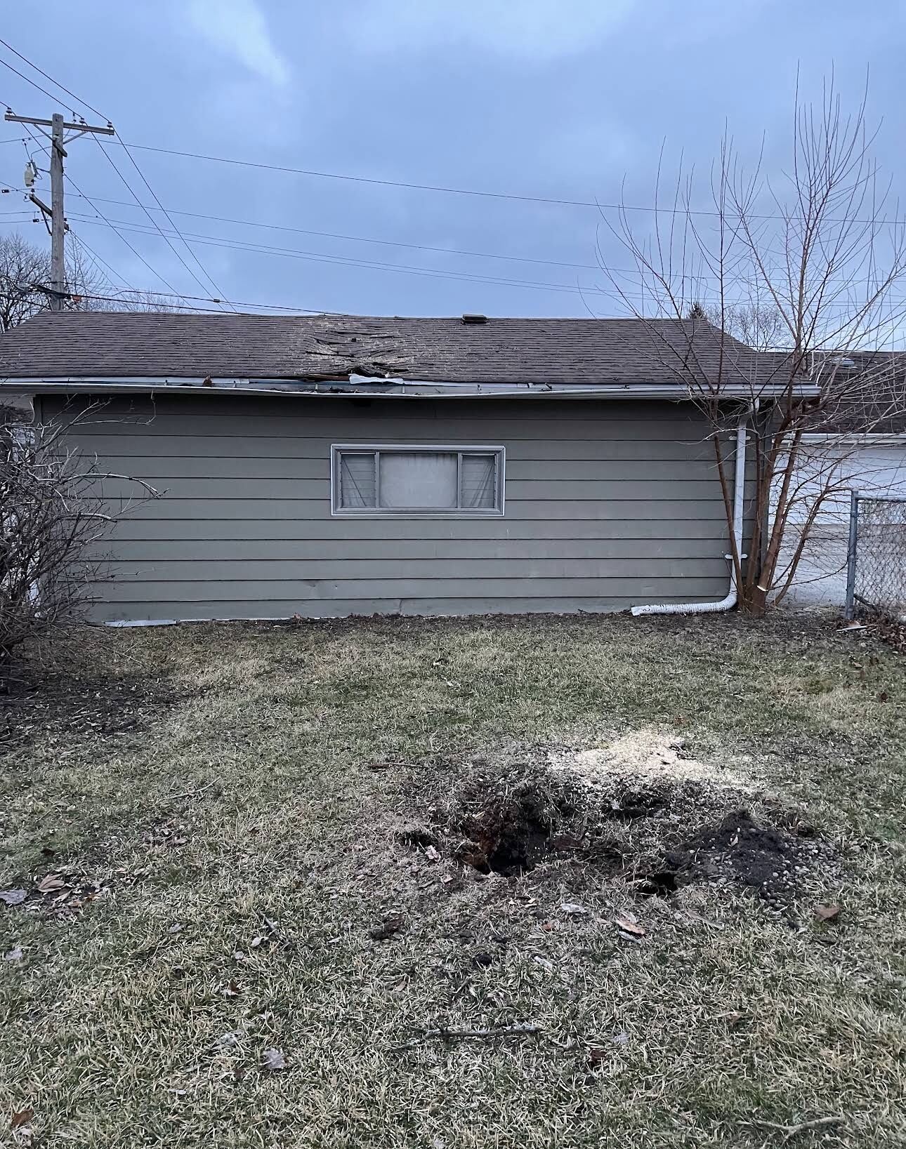 After tree removal