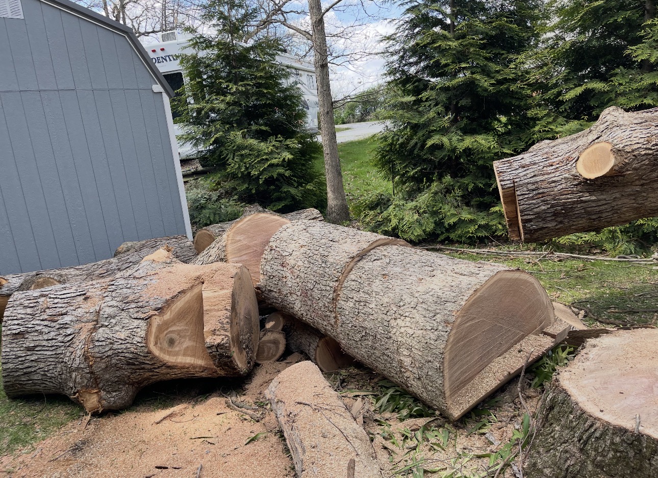 Massive Hardwoods Down